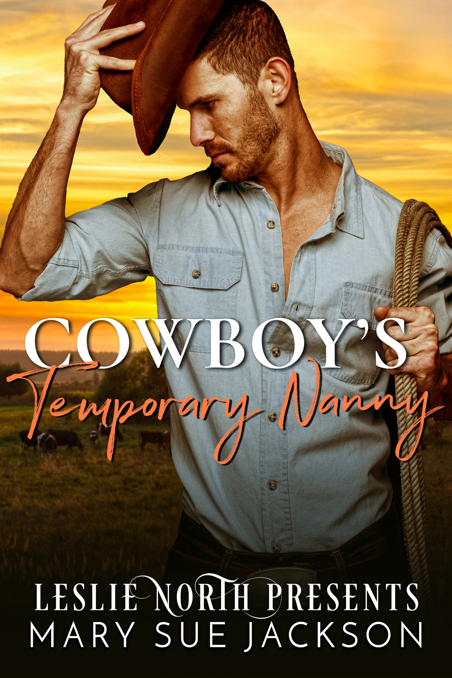 Cowboy’s Temporary Nanny book cover
