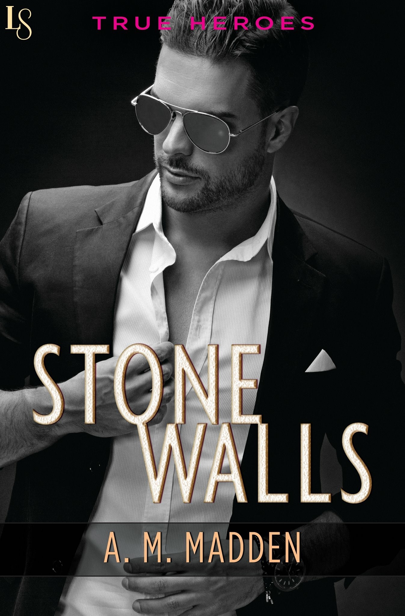 True Heroes book cover 1
