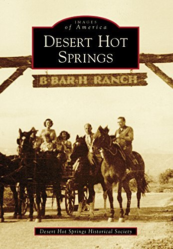 Desert Hot Springs book cover