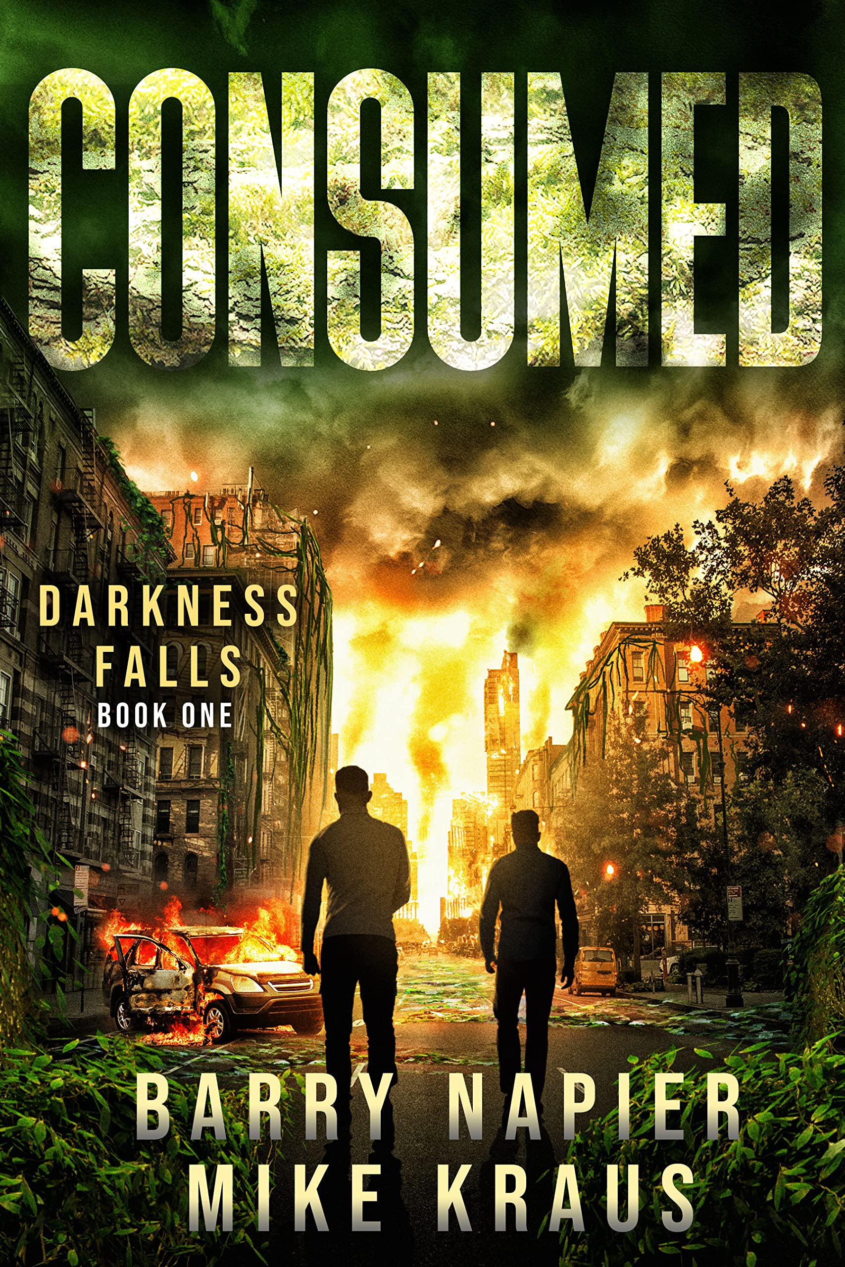 Consumed book cover