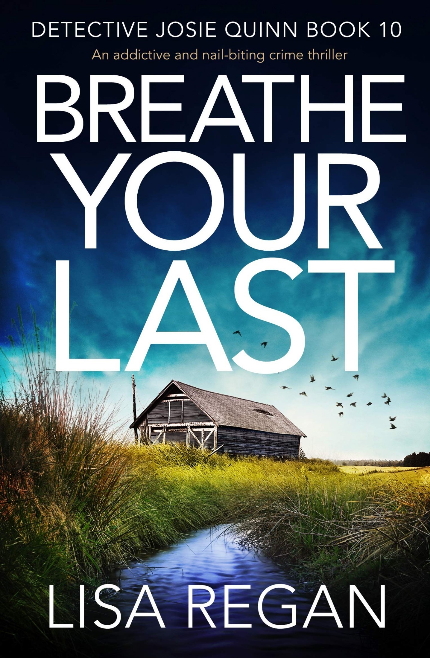 Breathe Your Last book cover
