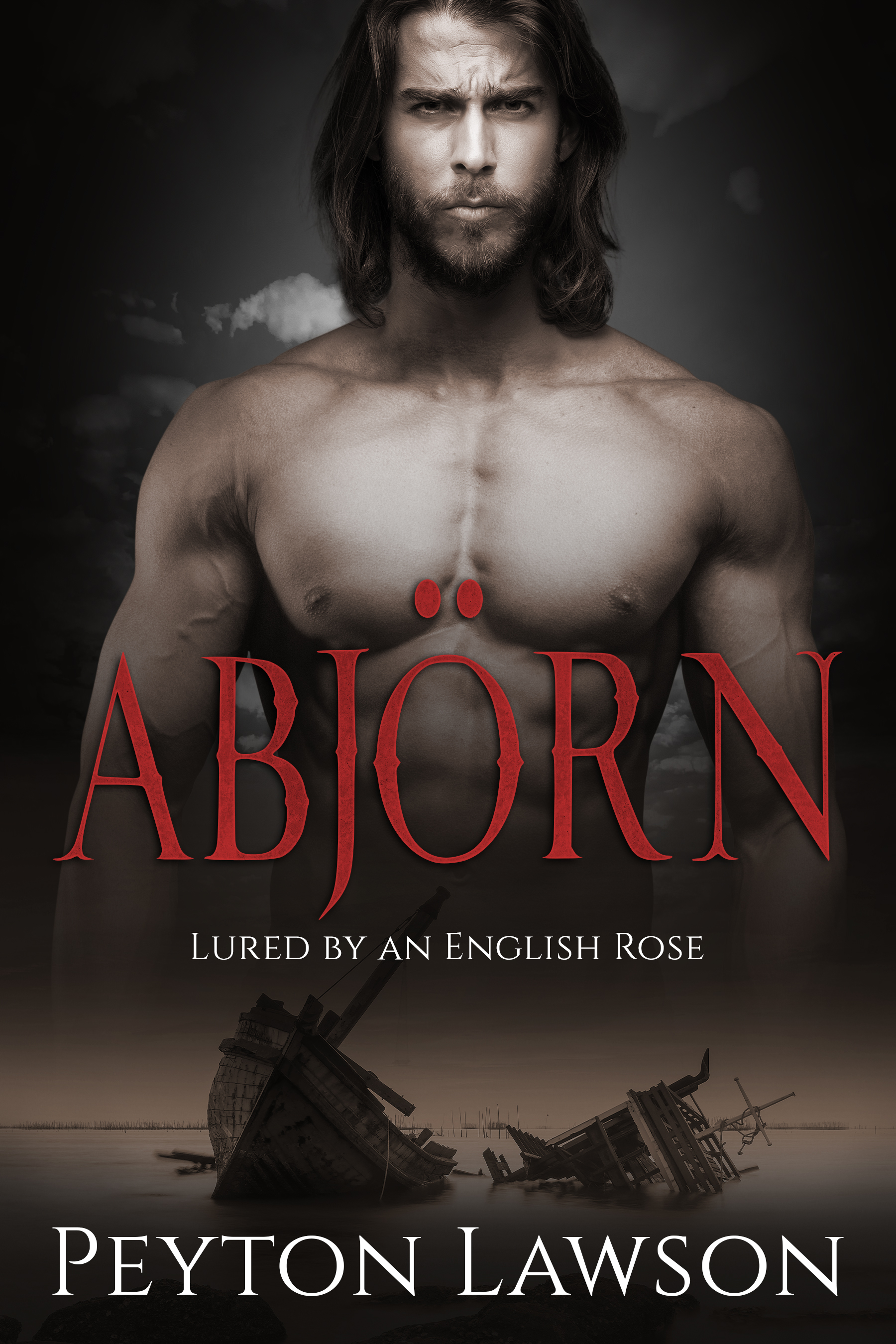 The Jürgensen Vikings book cover 3