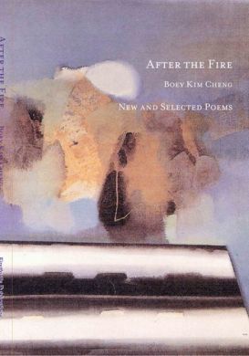 After the Fire book cover