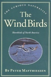 The Wind Birds book cover