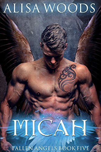 Prince of Shadow book cover
