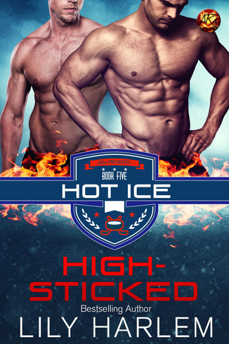 High-Sticked book cover