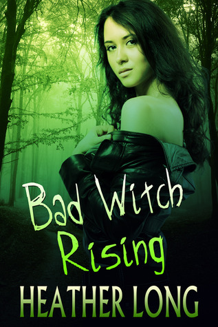 Chance Monroe book cover 3