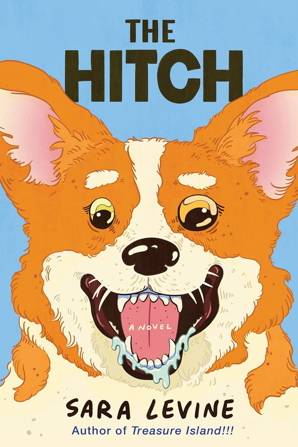 The Hitch book cover