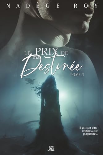 Le prix de ma Destinée book cover