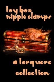 Toy Box book cover