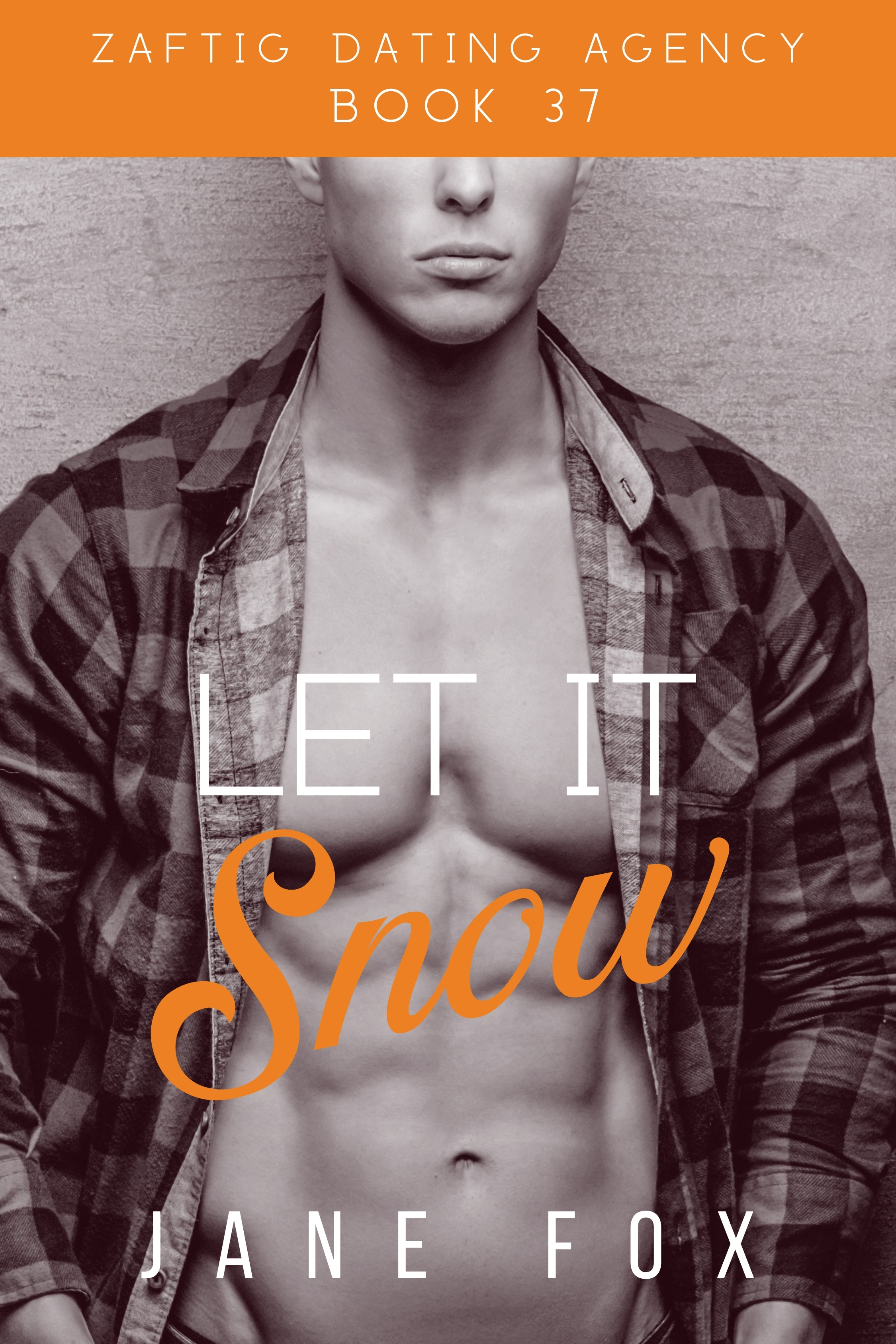 Let It Snow book cover