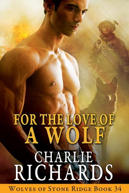 For the Love of a Wolf book cover
