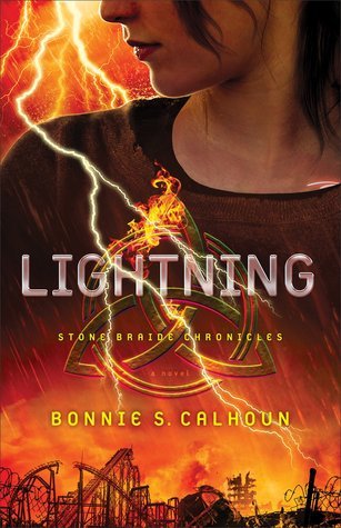 Stone Braide Chronicles book cover 2