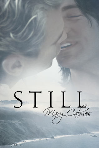 Still book cover