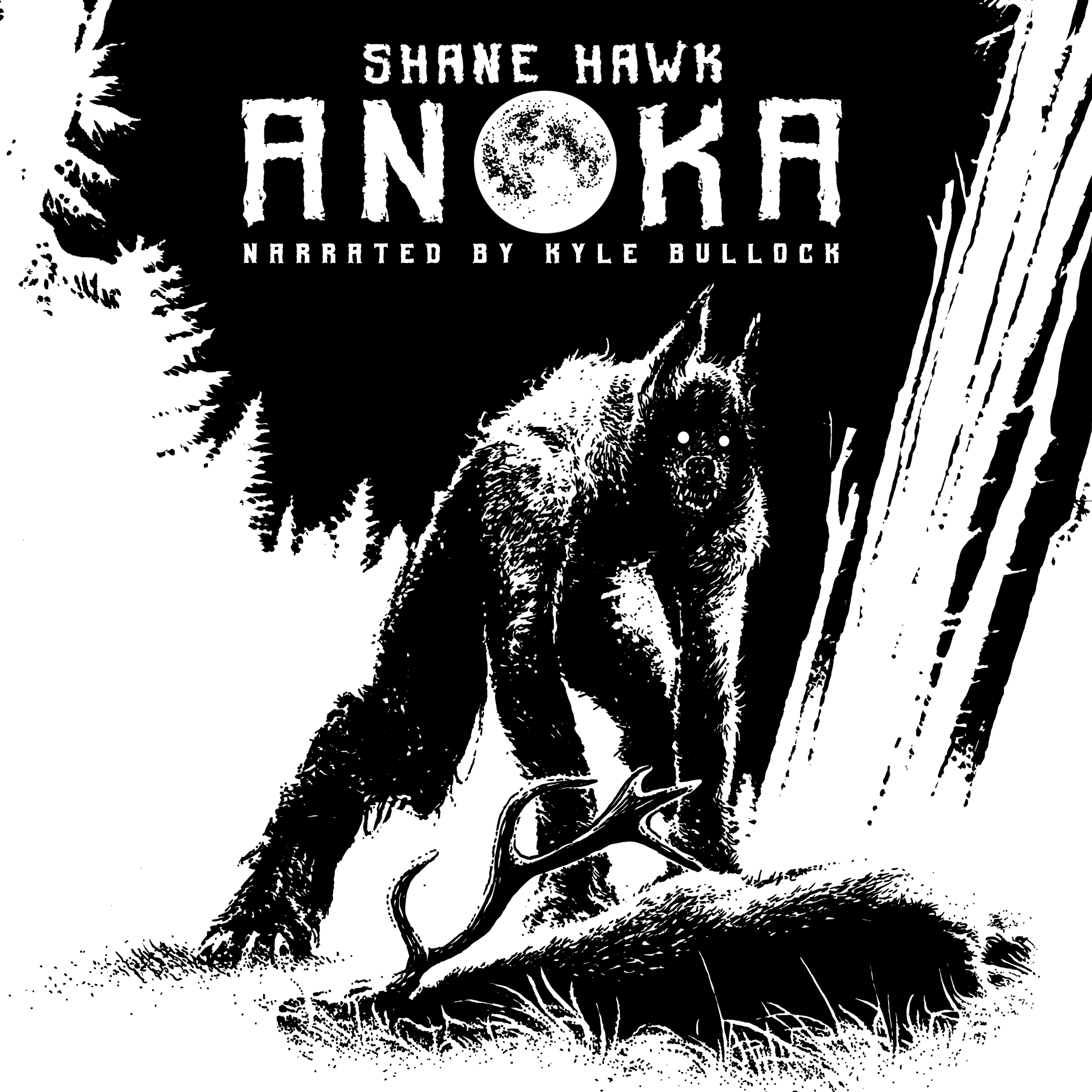 Anoka book cover