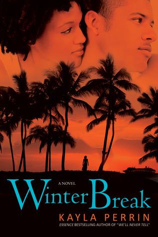 Winter Break book cover