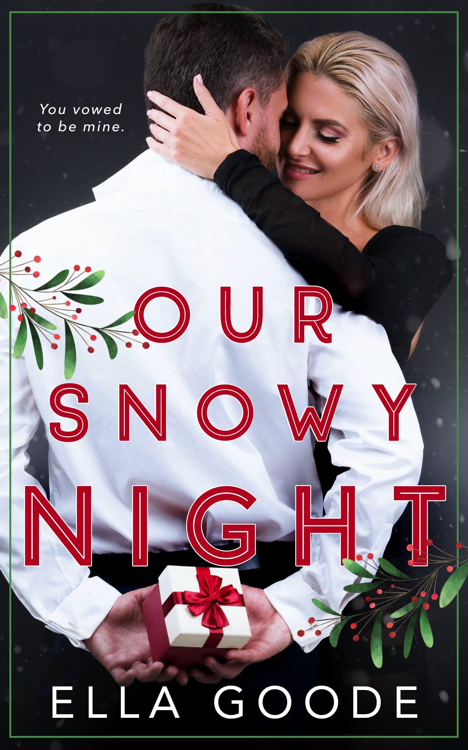Our Snowy Night book cover
