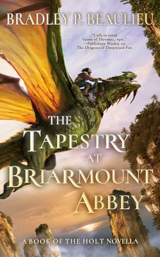 The Tapestry at Briarmount Abbey book cover