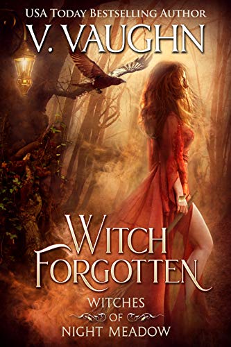 Witches of Night Meadow book cover 1