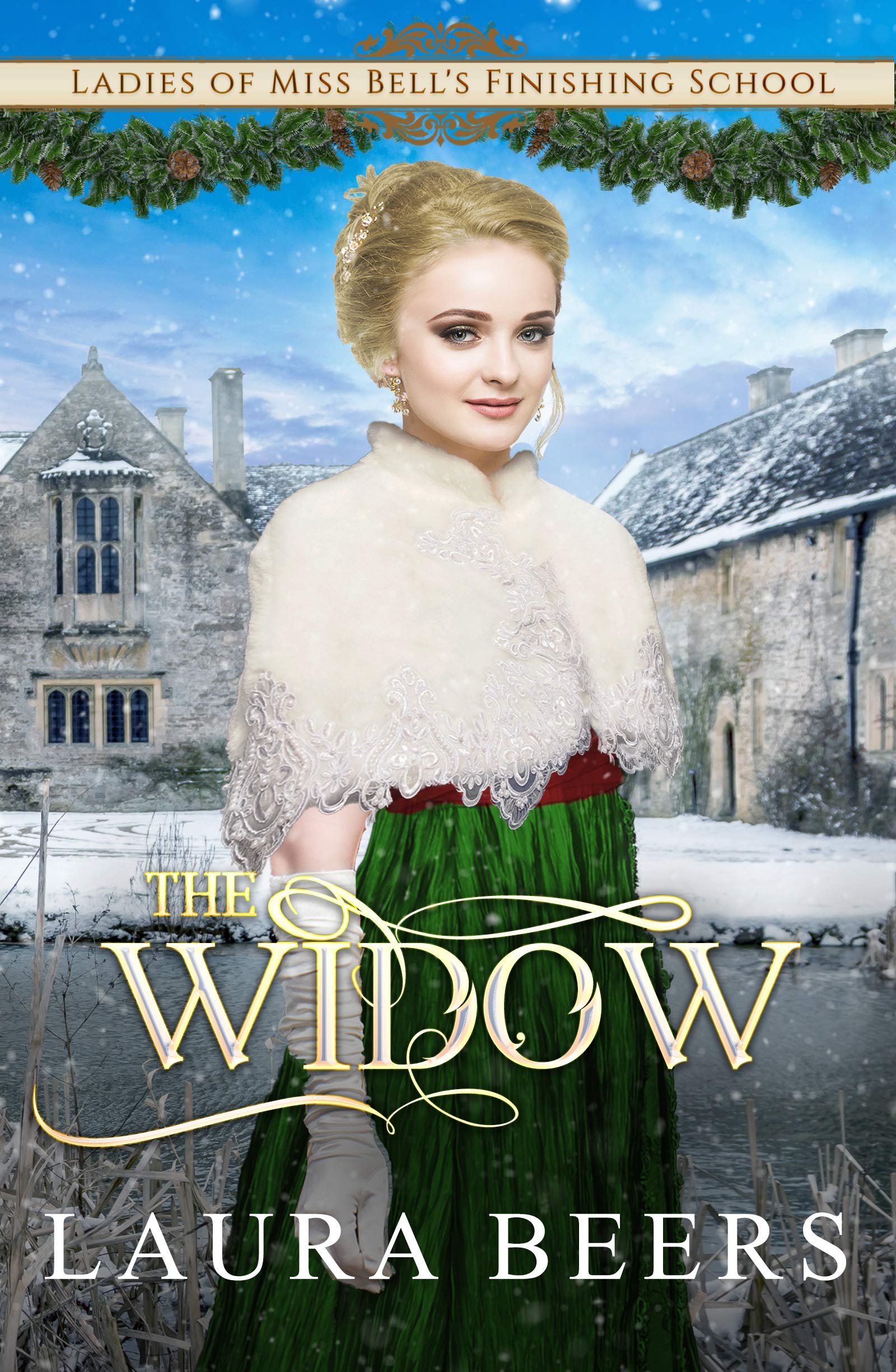 The Widow book cover