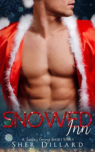 Snowed Inn book cover