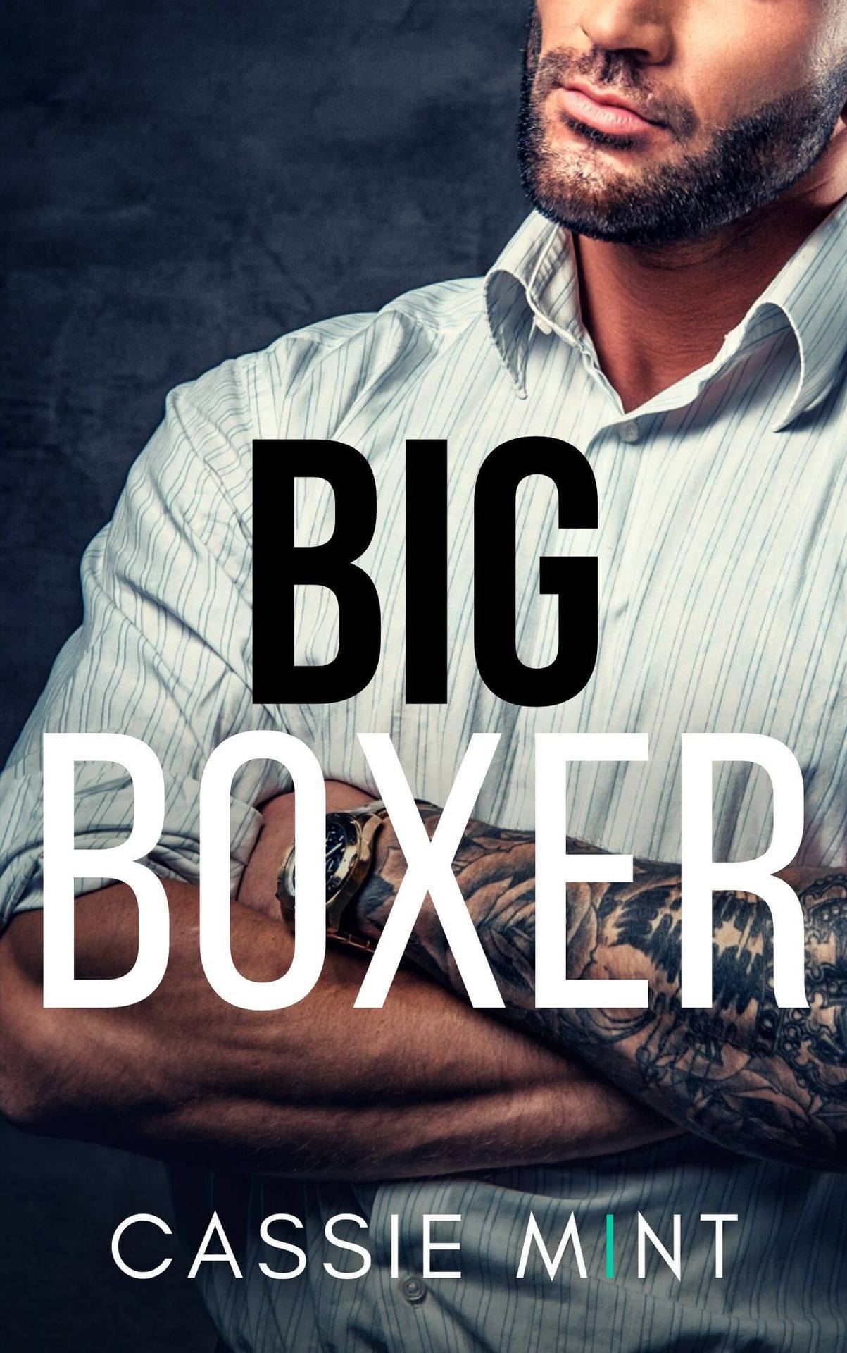 Big Boys book cover 3