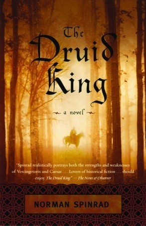 The Druid King book cover
