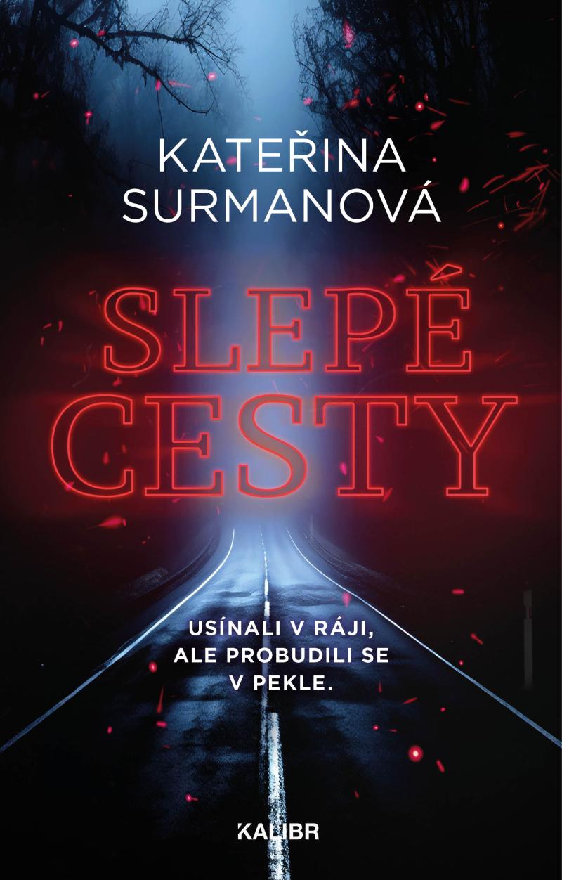 Slepé cesty book cover