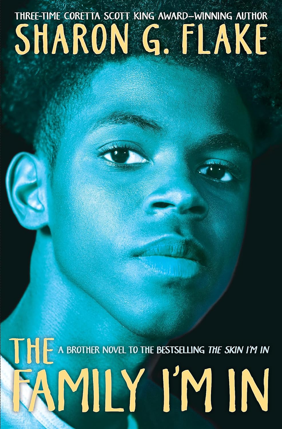 The Family I'm In book cover
