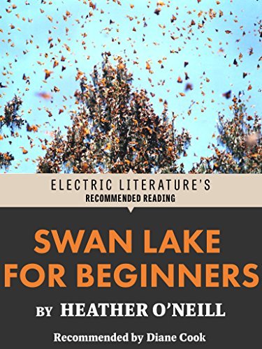 Swan Lake for Beginners book cover