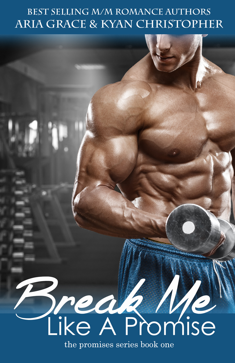 The Promises book cover 1