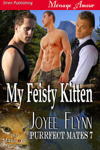 My Feisty Kitten book cover