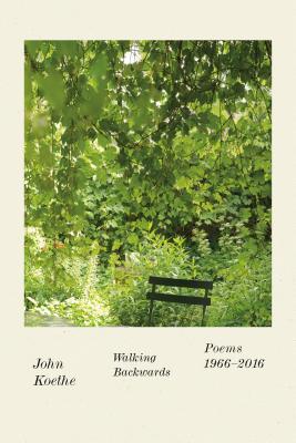 Walking Backwards book cover