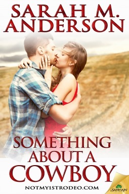 NotMy1stRodeo.com book cover 3