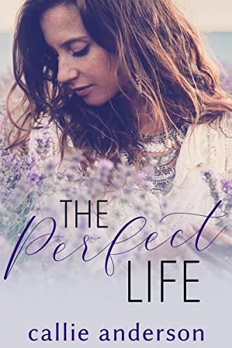 The Perfect Life book cover