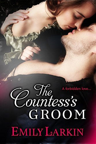 The Countess's Groom book cover