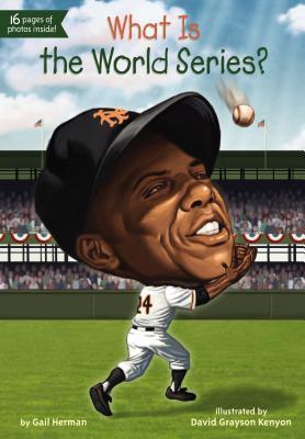 What Is the World Series? book cover