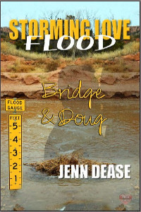 Storming Love: Flood book cover 2
