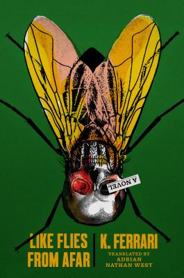 Like Flies from Afar book cover