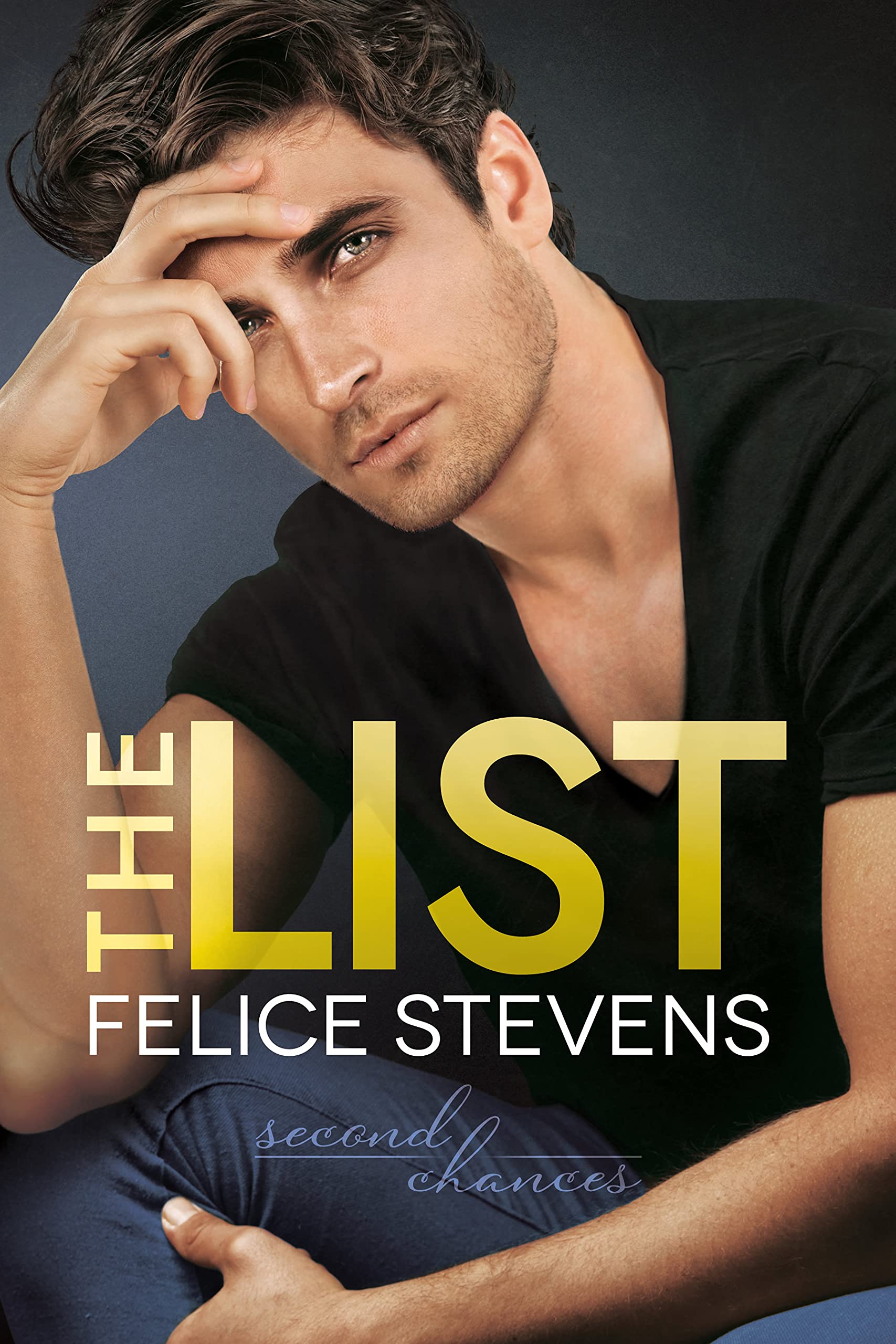 Second Chances book cover 1