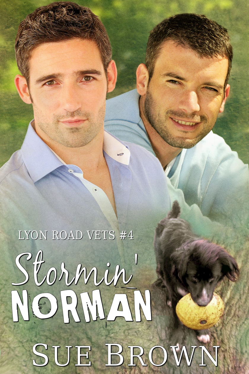 Stormin' Norman book cover
