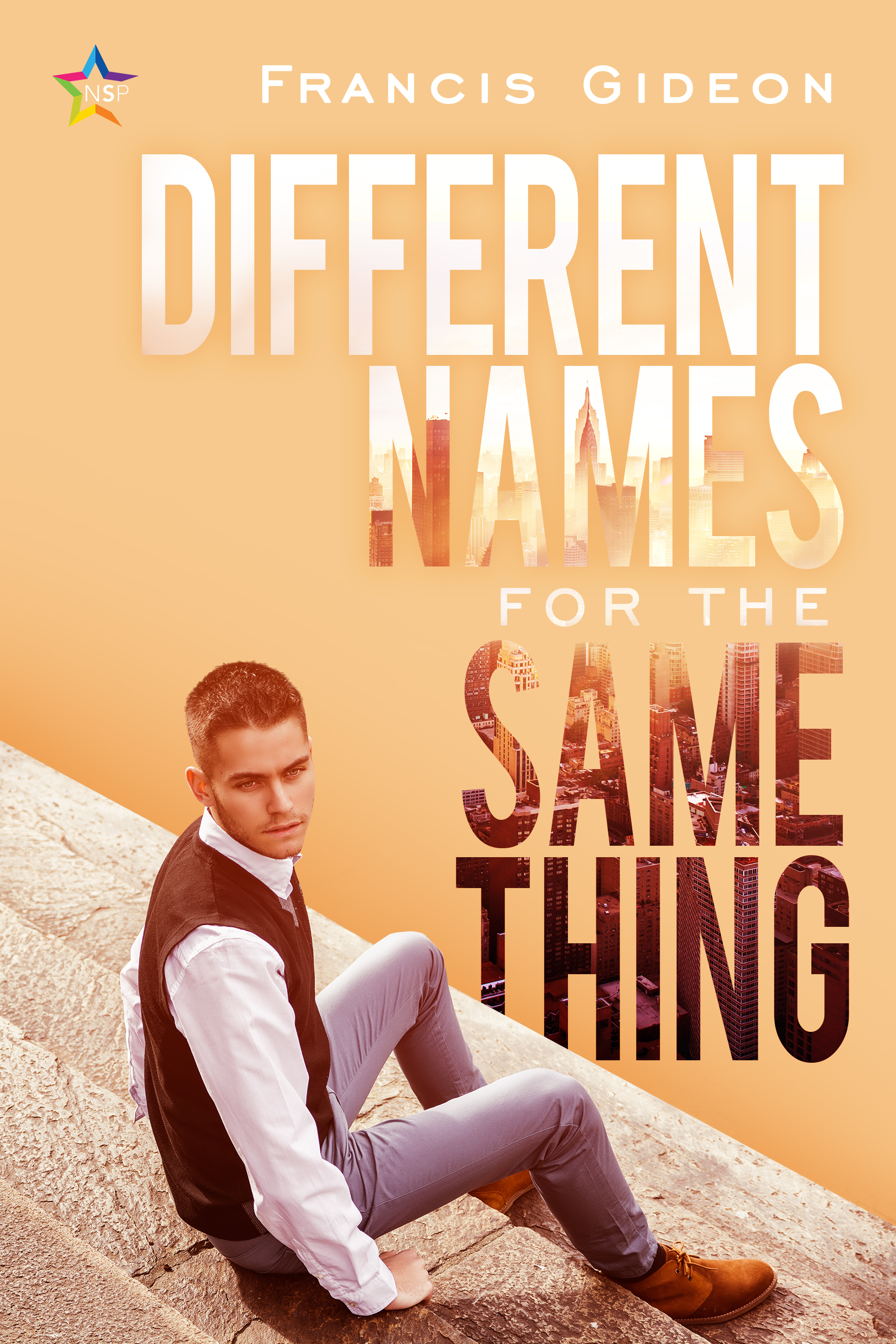 Different Names for the Same Thing book cover