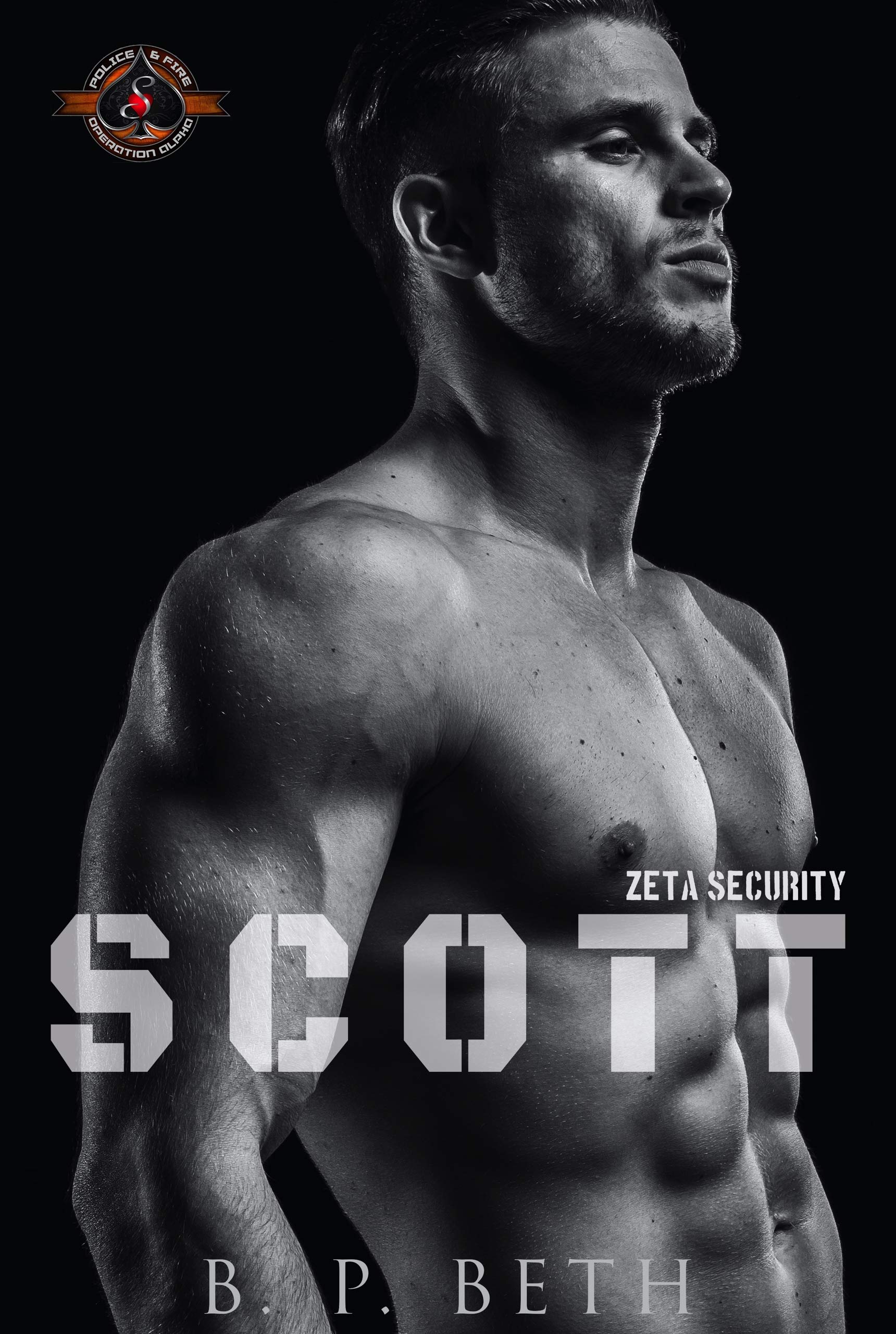 Zeta Security book cover 1