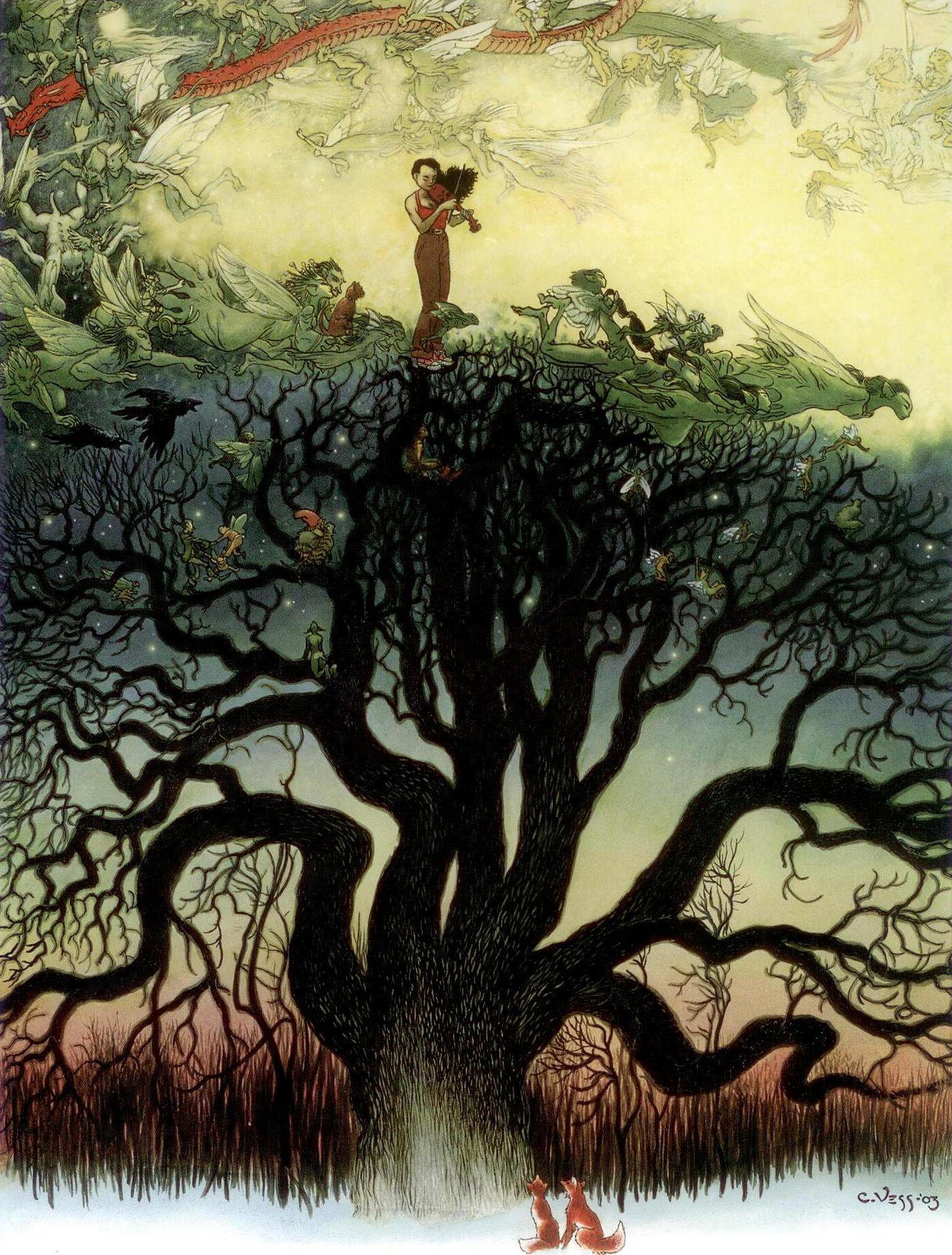 The Fairy Reel book cover