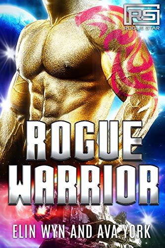 Rogue Warrior book cover