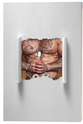 Ox book cover