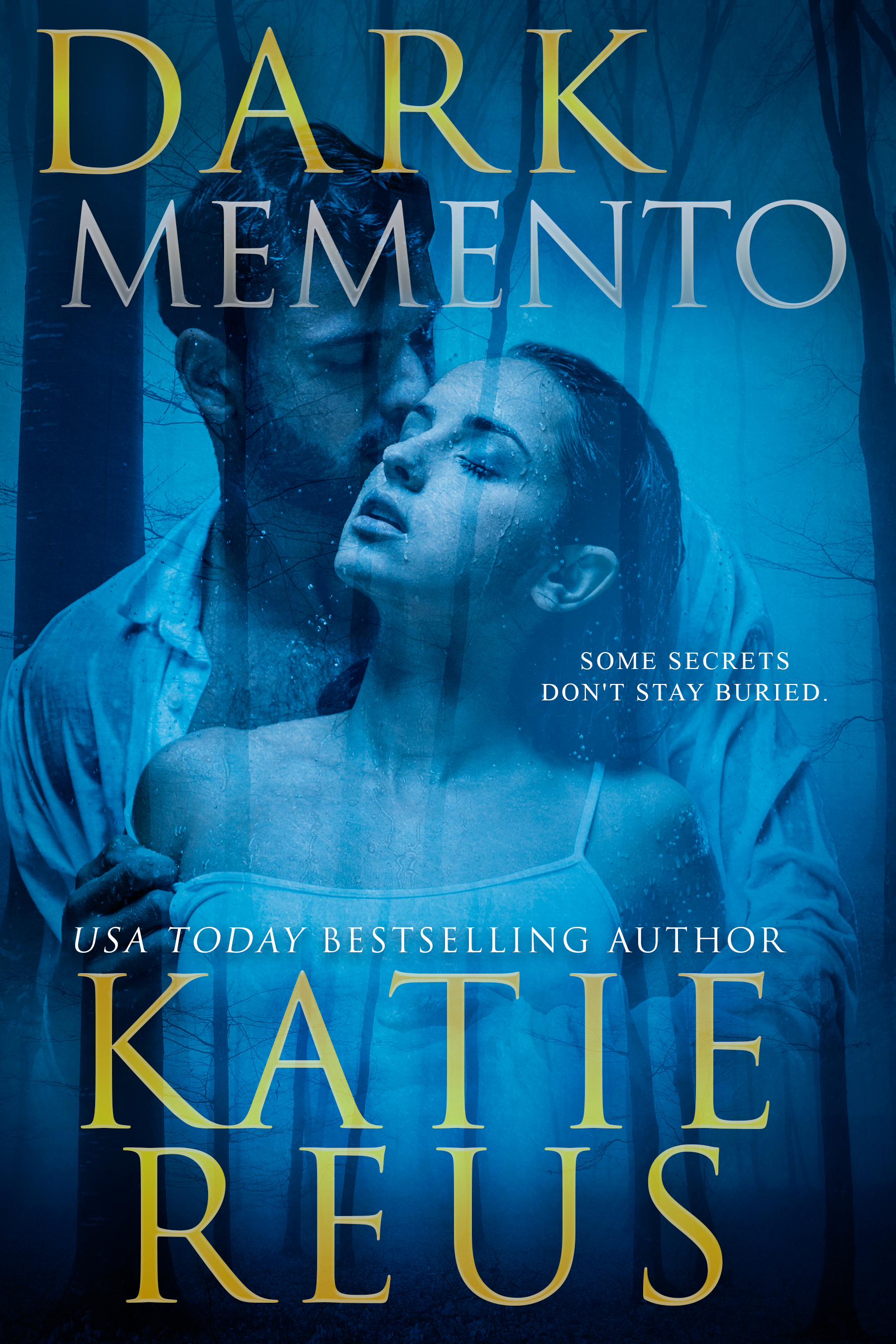 Verona Bay book cover 1