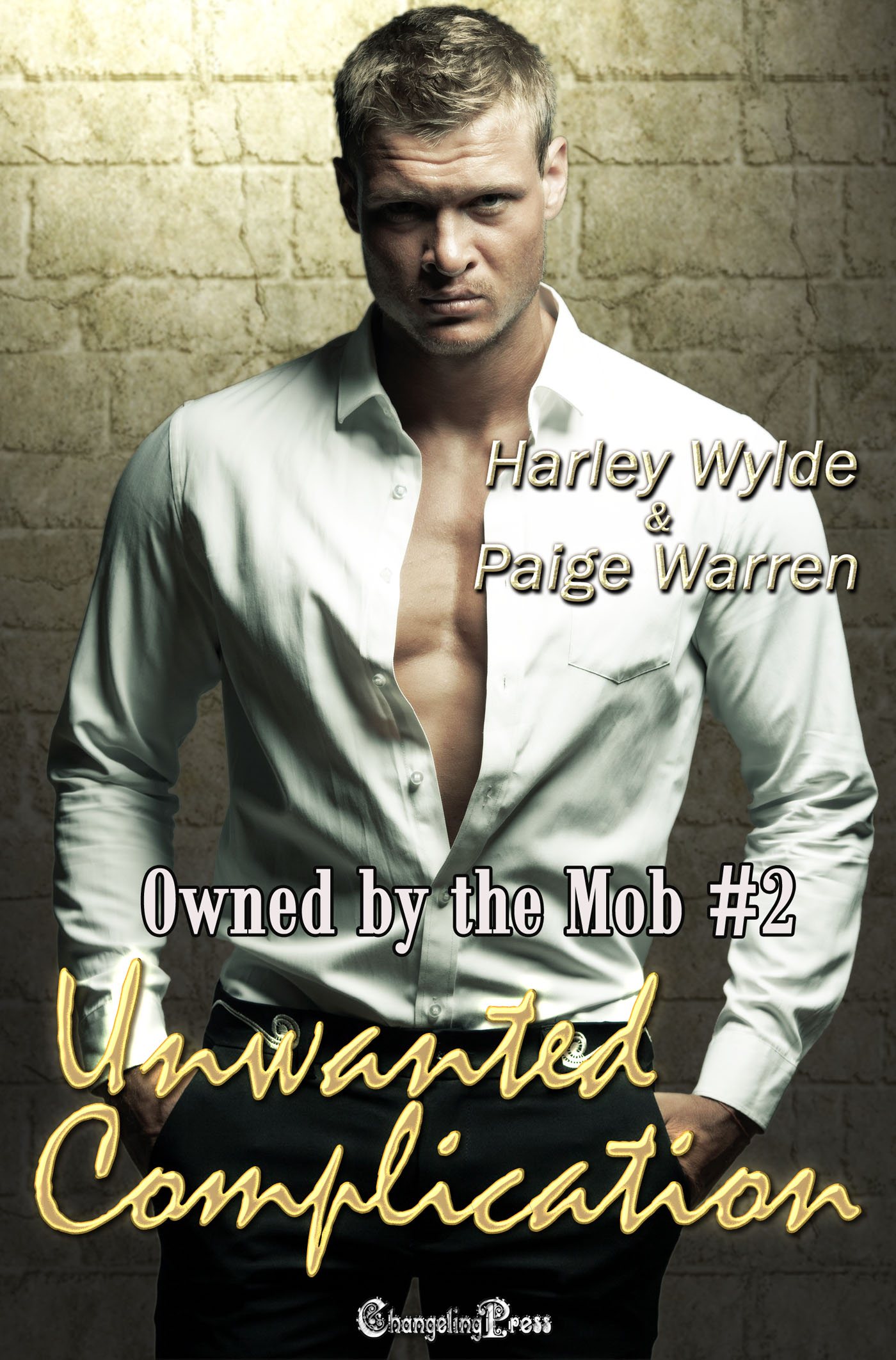 Owned by the Mob book cover 2