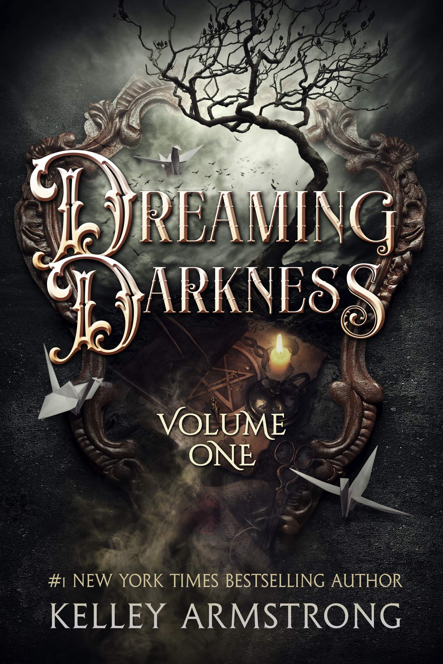 Dreaming Darkness book cover 1