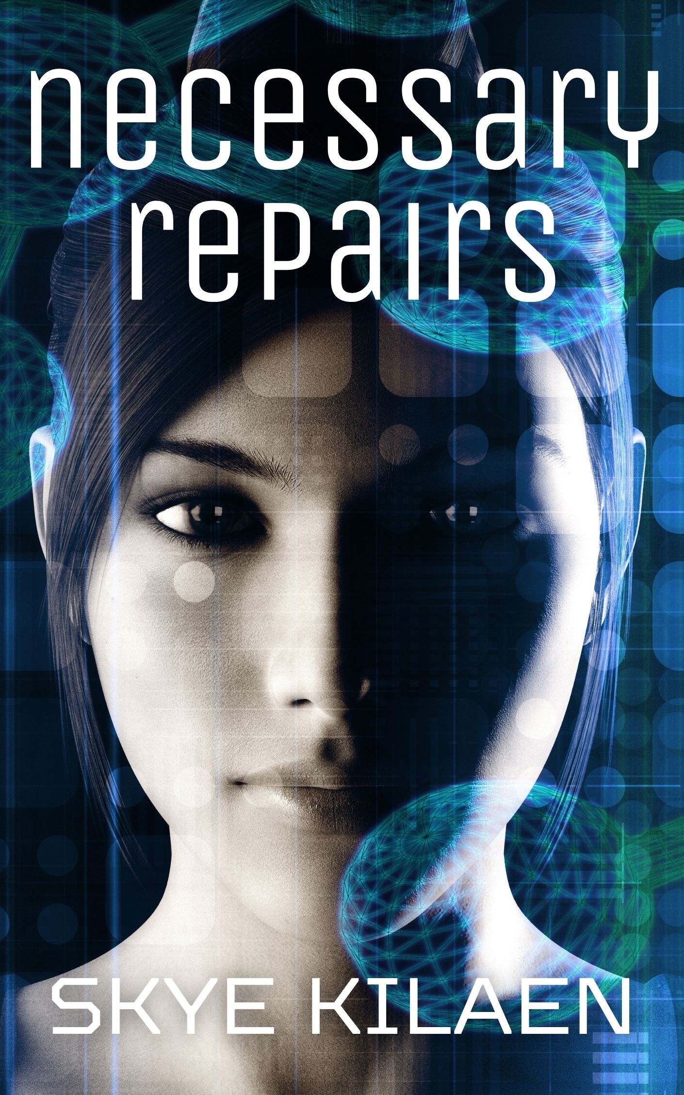 Necessary Repairs book cover